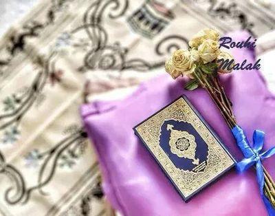 tamer19820112's profile picture. 