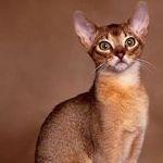 Maksim5lym's profile picture. 