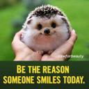 James Gwilliam - @James_Gwilliam - Twitter