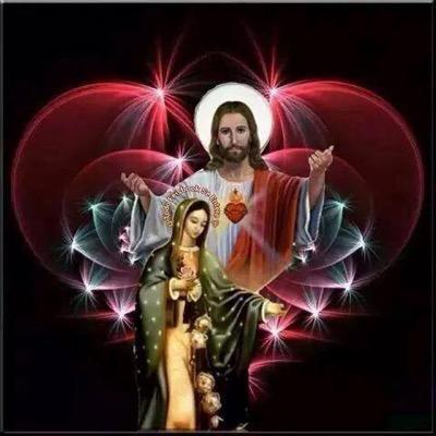 NasserKhalil11's profile picture. 