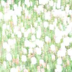 aaego1's profile picture. music ? apulsativity