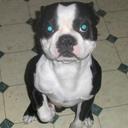 Craig Allen Weber - @bearded_craig - Twitter