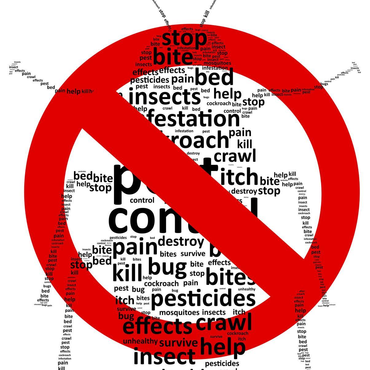 MeanGreen Pest Control is a premier source for experienced pest exterminators. We take pride in giving our customers prompt and professional service!