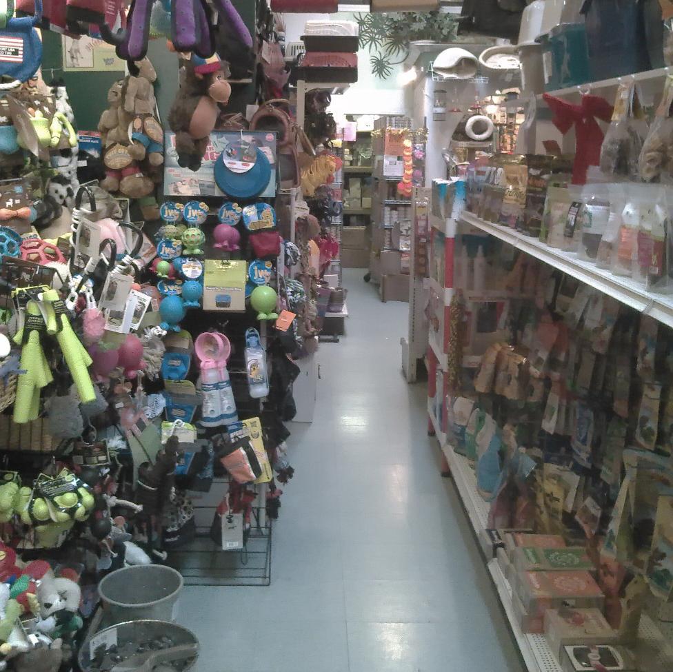 This is the official Twitter account for Animal Connection II on Washington St. #dogs #cats #birds #smallpet #petsupply #petfood