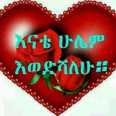 zeyneba2's profile picture. 