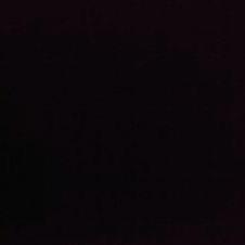 RukhshindaA's profile picture. An HR person sipping coffee over politics.