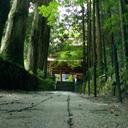 willy wu - @wu301524 - Twitter