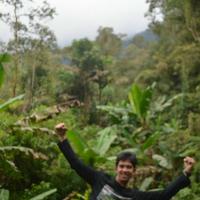 David Restu Anugroho (@davidrestua) 's Twitter Profile