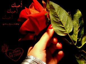 ‏اللي حاب يضيفني حياه 2bfbe3c6