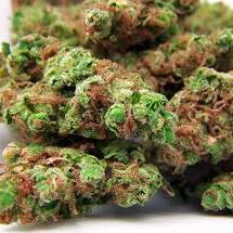 royalgreenspico's profile picture. 