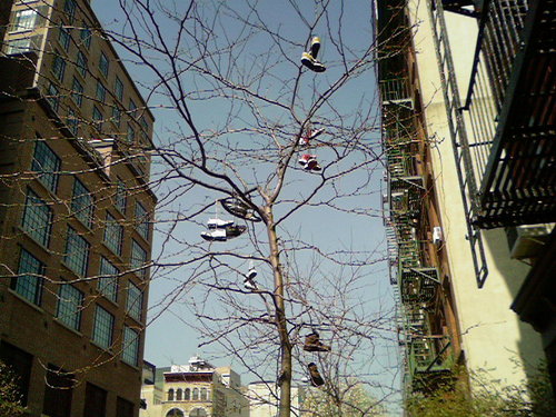 laurensnyc's profile picture. 