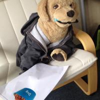 DOG (@cv_dog) 's Twitter Profile Photo DOG (@cv_dog) 's Twitter Profile Photo