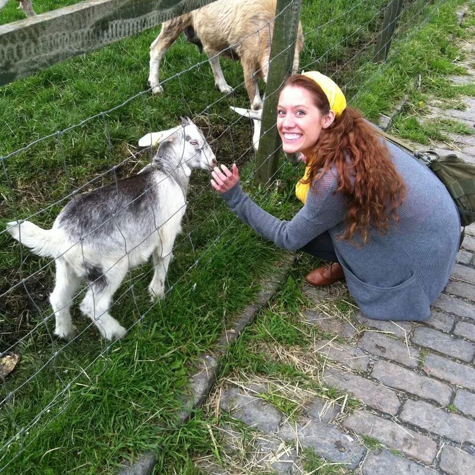 SarahDaley12's profile picture. I am not the porn star you are looking for.