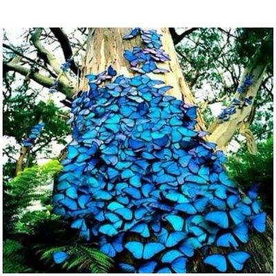 MARYSOL_DR's profile picture. 