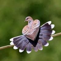 Xxxbbbccc Xxxbbbccc@ (@xxxxbbbccc) 's Twitter Profile