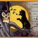 Becky Chamberlain - @domanddan1950 - Twitter