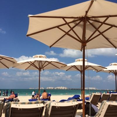 mespenseesN's profile picture. 