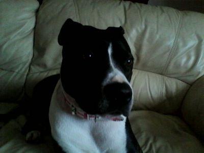 lol485722's profile picture. live life  love life