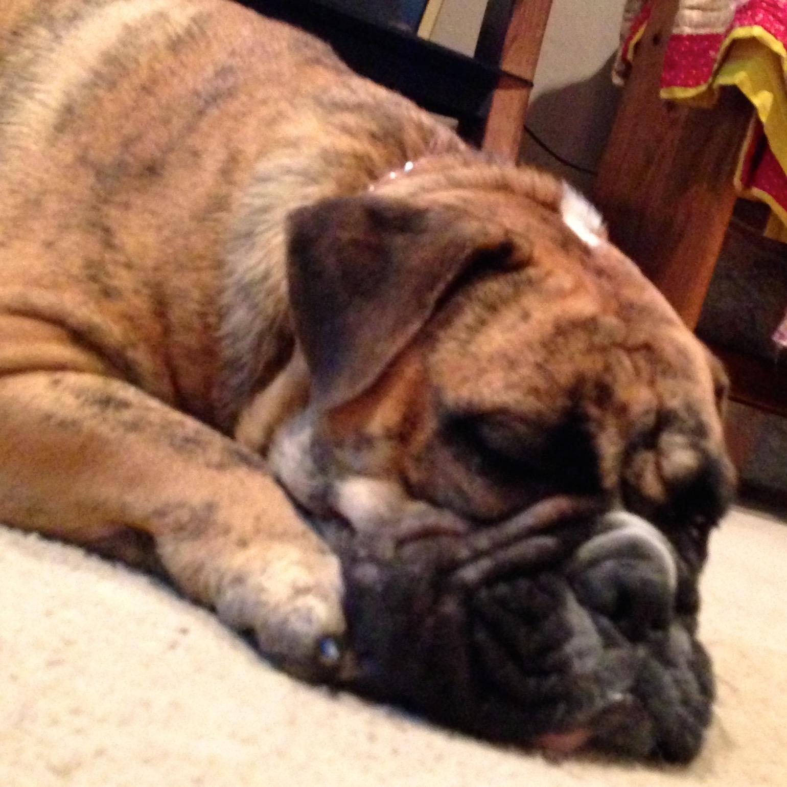 tgottlich's profile picture. Formerly Hodges born in Fort Stockton, Texas ACU graduate Coppell Middle School East Language Arts and Creative Writing