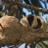 80fc9c3d9141494's profile image