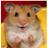 Hamster Me