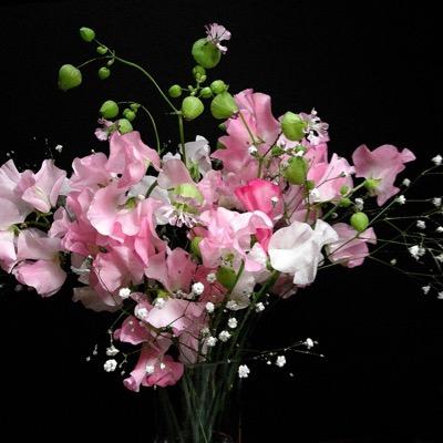 susanlcramer's profile picture. Retired middle school secretary, reader, canasta player, jigsaw puzzle fan, Cubs fan, mother of three, grandmother of five!