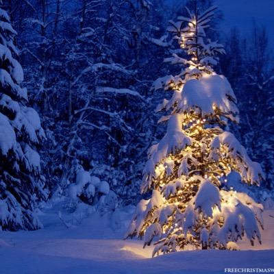 Pictures of the best christmas