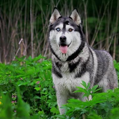 lindaclements16's profile picture. 