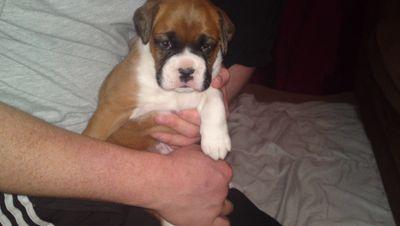 DbDebbie2667's profile picture. 