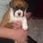 DbDebbie2667's profile image