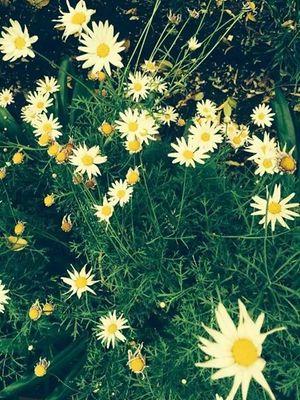 danekilian's profile picture. God † food ♥ books :) family ♡