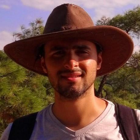 Software Engineer