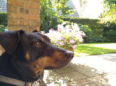 OMGitsJesseee's profile picture. I'm an xbox/pc gamer and love watching twitch and youtube, I also like messing around with photoshop and after effects.