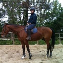 horses and dogs...
a big part of my life