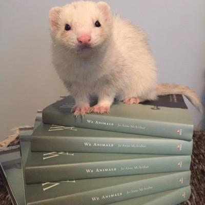 SharonAsh72's profile picture. We're making Kingston an amazing place to be for Vegans, Vegetarians, Veg-curious and their friends/family! GO VEG!