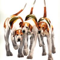 West Percy Hunt Ball (@wpercyhuntball) 's Twitter Profile