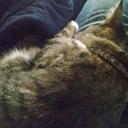 Heather Eckhardt - @Eck23Heather - Twitter