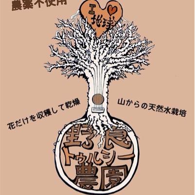 専業トゥルシー《ホーリーバジル》農家です。 医学アーユルヴェーダの中で不老不死の薬と言われる植物なので、愛を込めて農薬を使わず 自然に育てて販売中★ ★屋久島ネイチャーガイドもやってます★#自然農#田舎暮し#ヒーリング#自然療法#ヨガ#コミュニティ#旅#音楽#健康