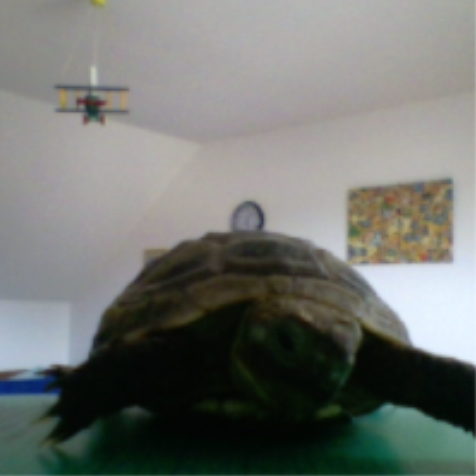 tortue860's profile picture. J'adore les tortue, j'adore les jeux-vidéo (même si je suis pas hyper bon), j'adore le seigneur des anneaux, voilà, que dire de plus...