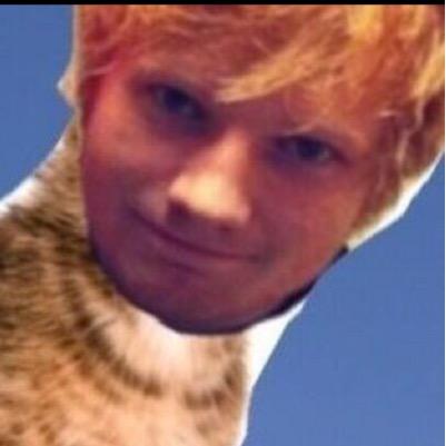 i hugged ed sheeran once and he told me not to cry