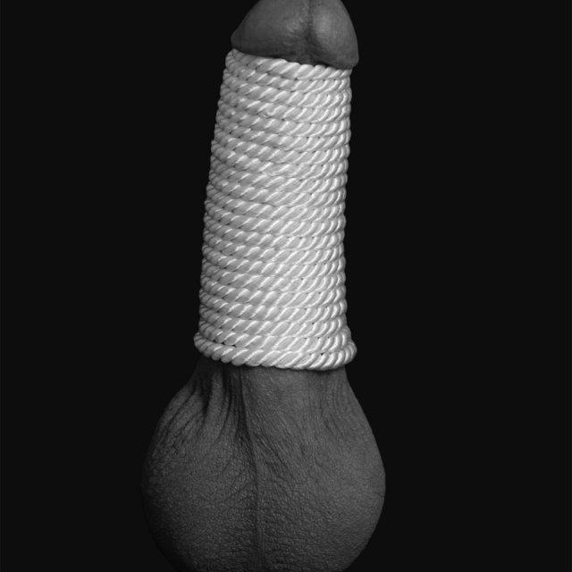 Kalle_Bi's profile picture. Zu Hause nackt und spiele an mir rum. Saufe Pisse, verschmiere Scheiße. Pumpe Pissnudel und Gehänge. Vibrator hängt in der "Röhre" und alles wird fett + wund !!