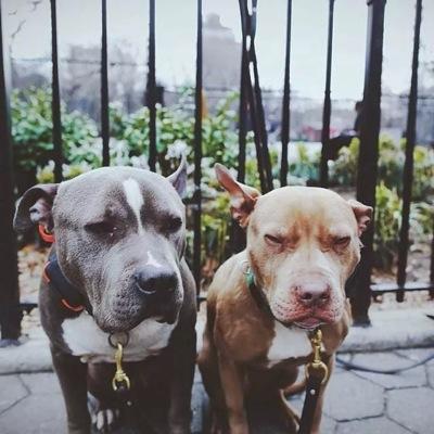 rafaelyuste's profile picture. 