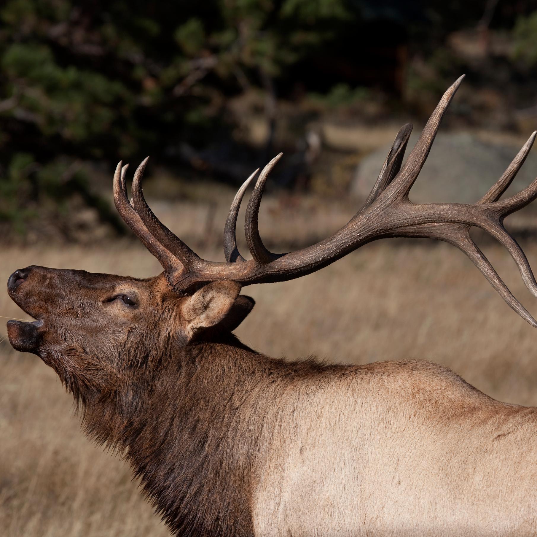 Responsible Land Stewardship