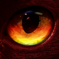... (@unfoundedevil) 's Twitter Profile