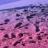 Blumeide09's profile image
