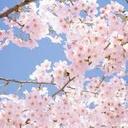 Aria Bell - @hbelkacem54 - Twitter