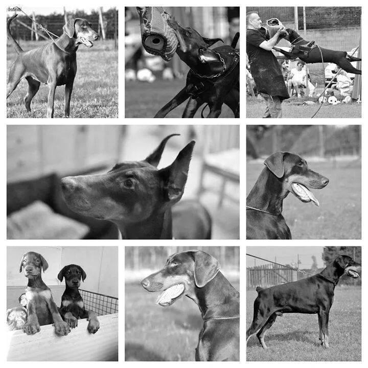 MonicaCarybdis's profile picture. 