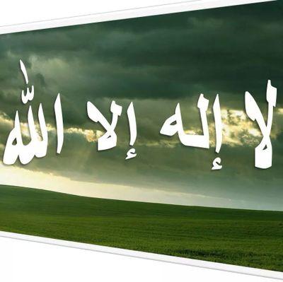 rMotlaq's profile picture. Do it if you can?!