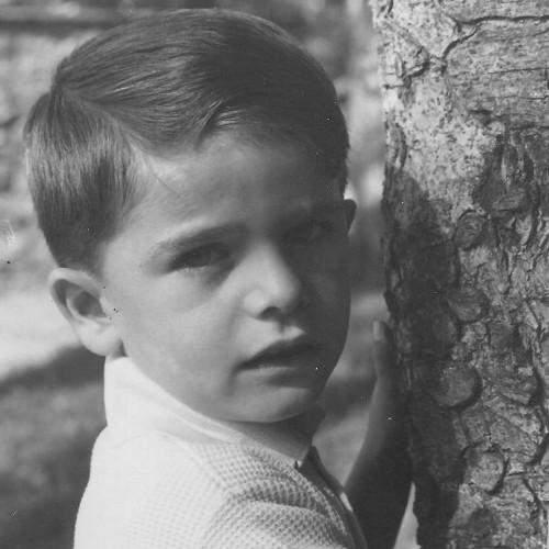 mpersuati's profile picture. 