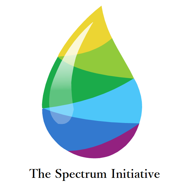 The Spectrum Initiative provides an educational platform for parents and skill building opportunities for children on the spectrum.